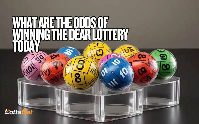Dear Lottery Today